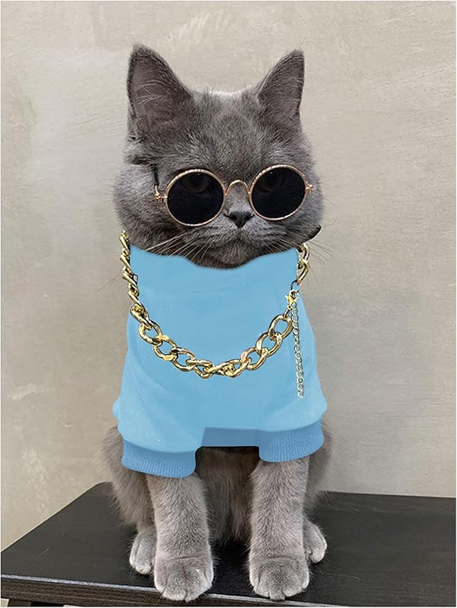 QWINEE 3Pcs Dog Hoodie Cat Apparel Dog Custume Set with Necklace and Sunglasses Pet Clothes for Puppy Small Medium Dogs Cats Light Blue Small
