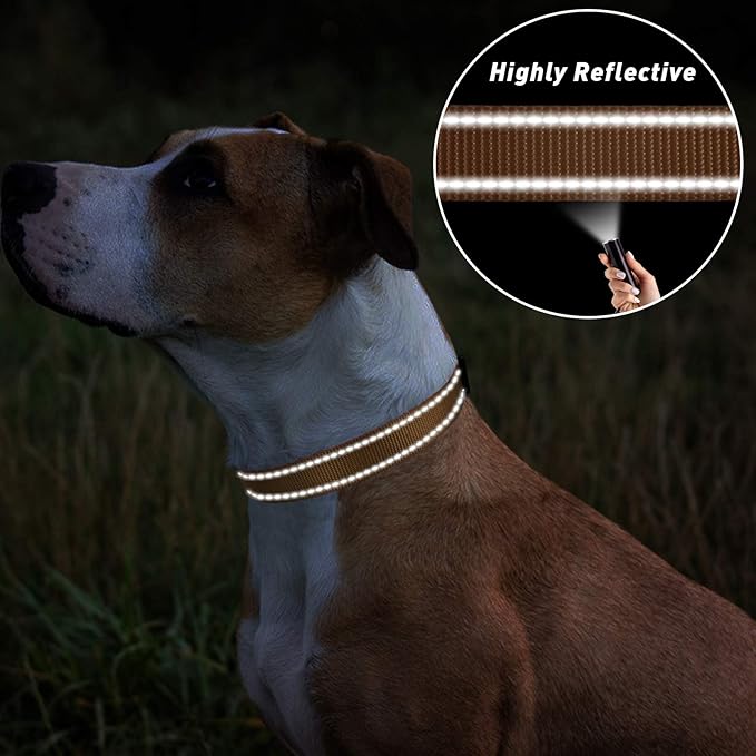 TagME Reflective Nylon Dog Collars, Adjustable Classic Collar with Quick Release Buckle for Extra Large Dogs, Khaki, 1¼" Width
