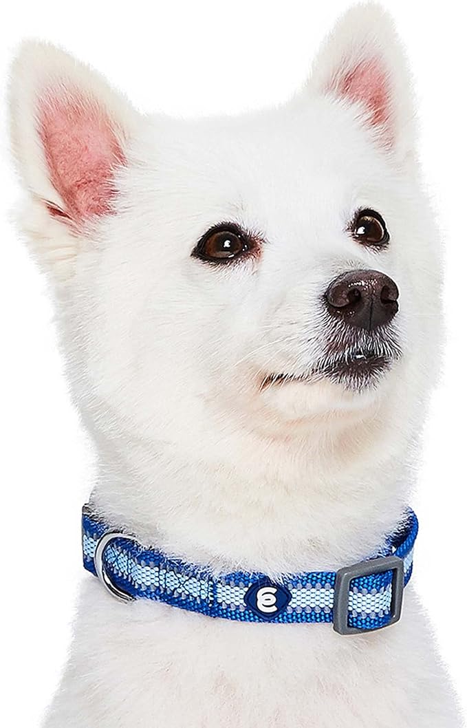 Blueberry Pet Large Dog Collar in Reflective Navy Blue | Adjustable Classic Nylon Strap for Big Breeds | Durable, Stylish & High-Visibility Dog Gear