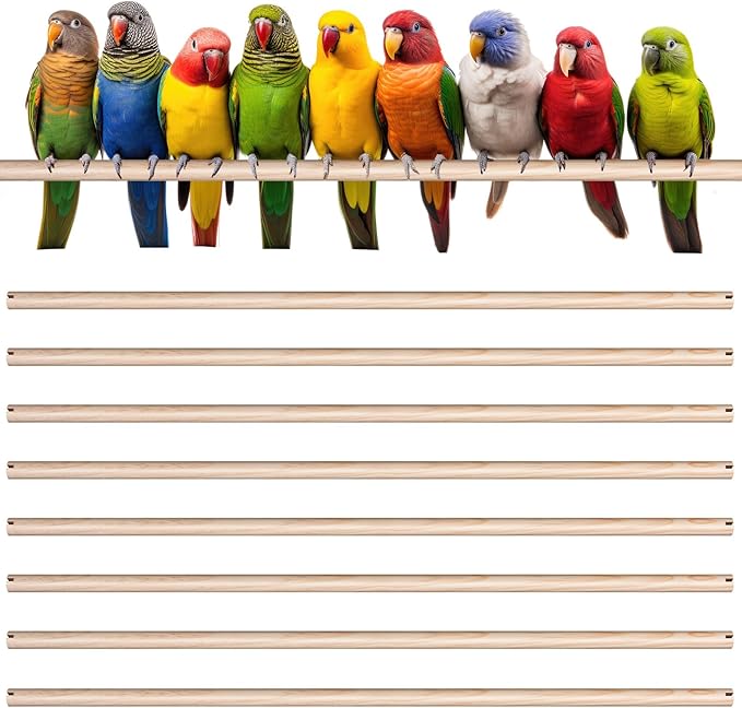 Sintuff 8 Pcs Bird Perches for Cage Accessories, Wooden Perch Rods Replacement with Double Head Slots, 0.6 Inch Diameter Natural Wood Stand for Parrot Macaw Cockatoo Parakeet(24 Inches)