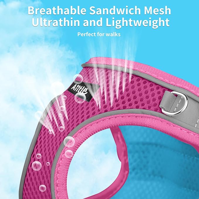 AIITLE No Pull Dog Harness and Leash Set, Step in Adjustable Dog Harness with Padded Vest for All Weather, Dog Leash with Soft Padded Handle, Easy to Put on Small and Medium Dogs Hot Pink S