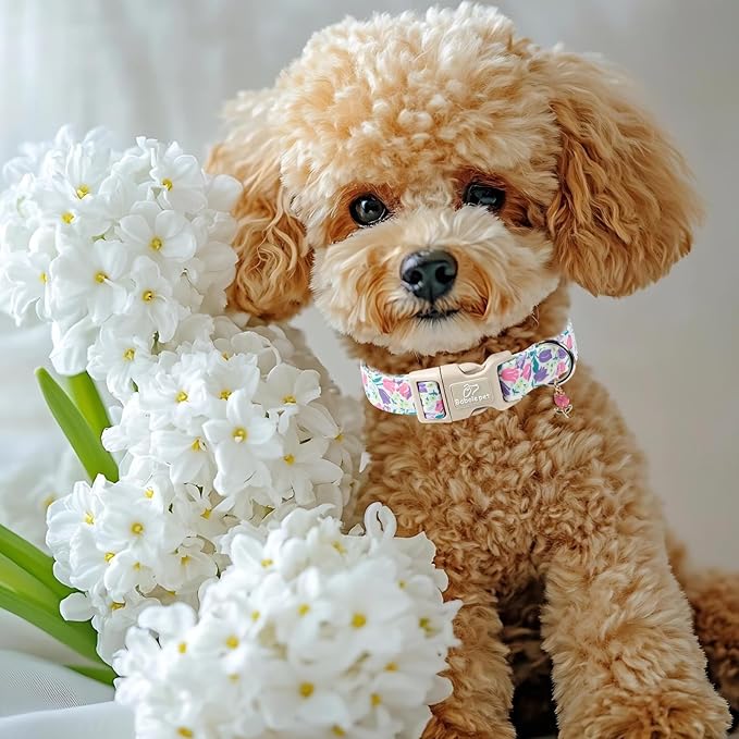 Floral Dog Collar for Small Dogs - Pink Purple Tulips Print Dog Collars, Spring Summer Cute Flower Puppy Collar, Lightweight Adjustable April Holiday Boy Girl Dogs Collars S