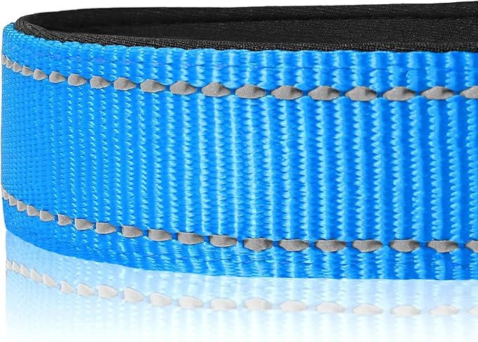 Joytale Reflective Dog Collar,Soft Neoprene Padded Breathable Nylon Pet Collar Adjustable for Puppy and Small Dogs, Sky Blue,XS