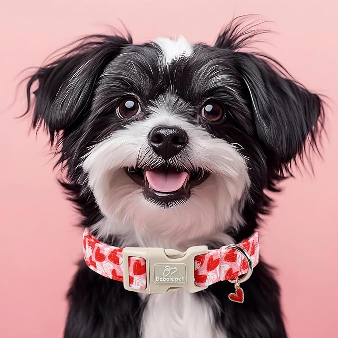 Valentines Dog Collar for Medium Dogs - Cute Pink Girl Dog Collar, Doodle Heart Pattern, Adjustable Valentine Dog Collars with Red Heart Charm M