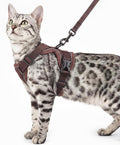 Cat Harness and Leash Set Escape Proof Tactical Large Kitten Harness Emotional Support Cat Vest, Brown, L