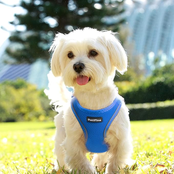 PetiFine Step in Small Dog Harness and Leash Set, Breathable All Weather Air Mesh Reflective Escape Proof, Step-in Vest Harnesses for Puppy(S, Baby Blue)