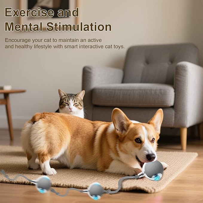 Interactive Cat Toy, 2025 New Interactive Rolling CatsToy Balls 360° Smart Automatic Rolling Pet Ball, Fast Moving Toy for Dog,Cat Ball Toy (Grey)