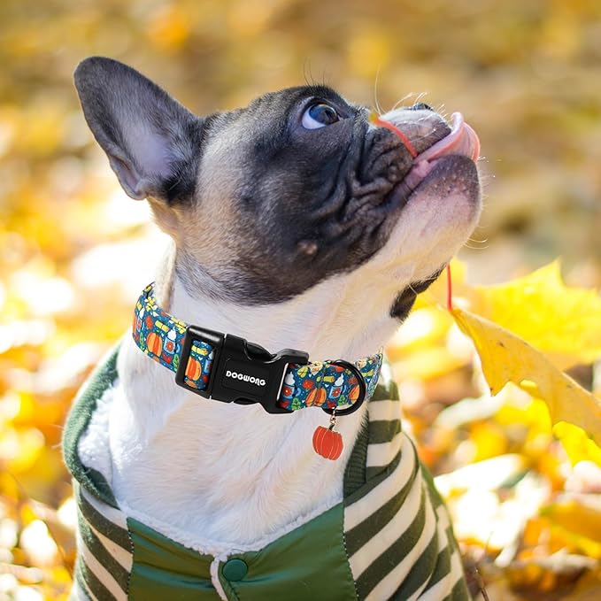 DOGWONG Fall Pumpkin Dog Collar, Fall Maple Leaf Dog Collars Adjustable Halloween Pumpkin Dog Collars for Small Medium Large Dogs S