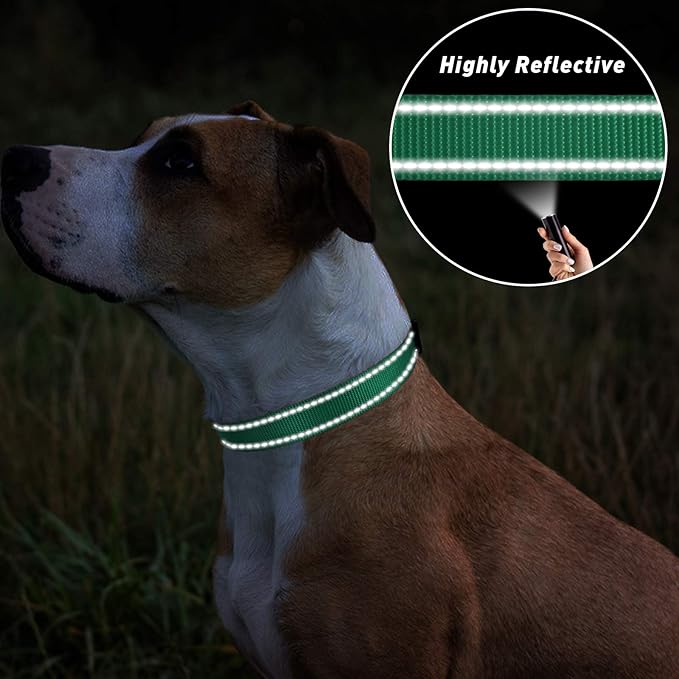 TagME Reflective Nylon Dog Collars, Adjustable Classic Pet Collar with Quick Release Buckle for Extra Large Dogs, Turquoise, 1¼" Width