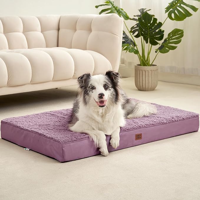 EHEYCIGA Orthopedic XXL Dog Beds for Jumbo Dogs with Removable Washable Cover, Fog Purple, 50x36