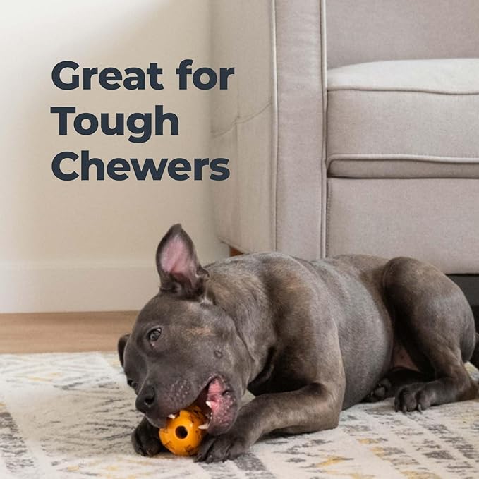 Oxyfresh Dog Dental Chew Toy - Best Dog Teeth Cleaning Toy – A Simple Bite and Brush Toy That Helps Remove Plaque, Cleans Teeth & Freshens Breath Without Brushing - Large (Pack of 2)