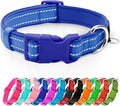 azuza Reflective Dog Collar,Soft Neoprene Padded Pet Collar with ID Tag Ring,Adjustable for Puppy and Small Dogs,Royal Blue,XS