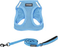 Best Pet Supplies Voyager Step-in Air All Weather Mesh Harness and Reflective Dog 5 ft Leash Combo with Neoprene Handle, for Small, Medium and Large Breed Puppies - Set (Baby Blue), XS