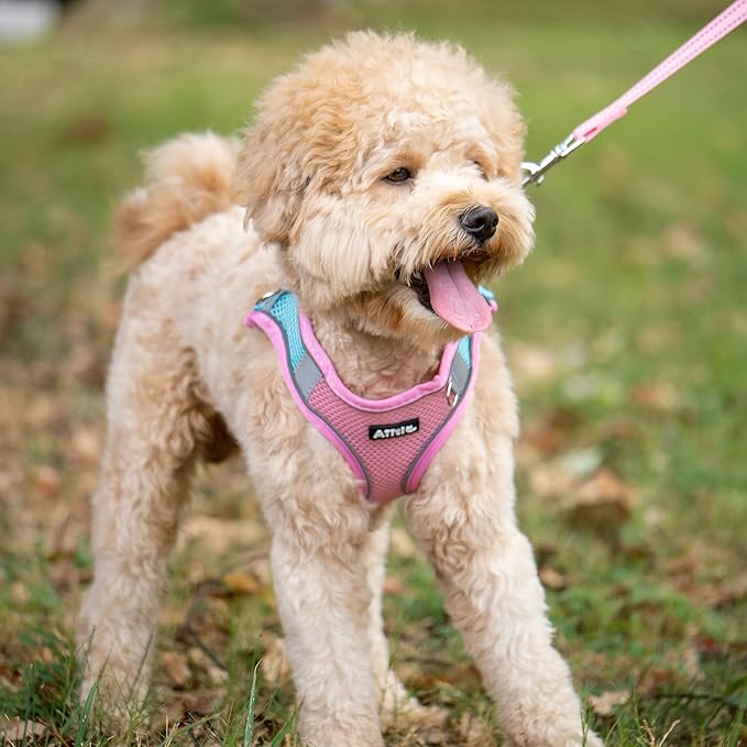 AIITLE Small Harness for Puppy with A Leash - Dog Vest Harness with Super Breathable Mesh, Reflective No-Pull Pet Harness for Outdoor Walking, Running for Small Dogs, Cats Pink XXS