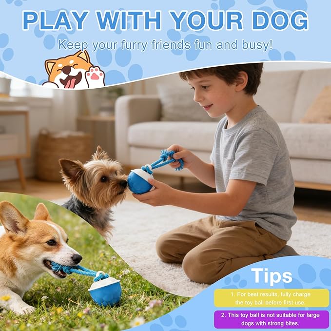 Interactive Dog Toys,2026 Upgraded Motion Activated Automatic Rolling Ball Toys for Small/Medium/Large Dogs Balls,Interactive Dog Ball for Boredom to Keep Them Busy,With USB Rechargeable (Blue)