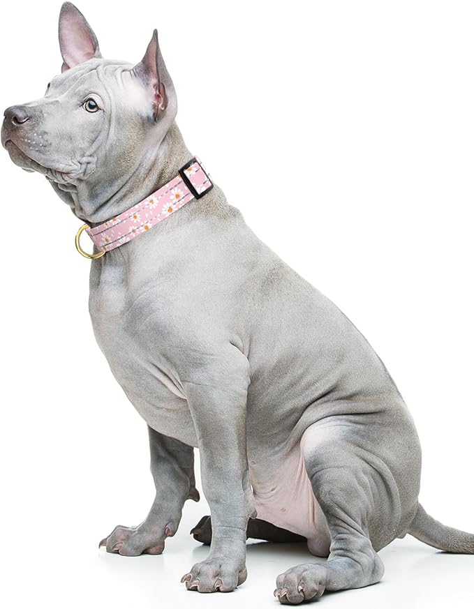 Reflective Dog Collar for Medium Dogs, Cute Daisy Theme Adjustable Heavy-Duty Nylon Puppy Collar for Boy and Girl Female, Soft Pet Accessories with Quick Release Buckle, Neck 14-20", Pink
