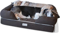 PetFusion Ultimate Dog Bed, Orthopedic Memory Foam, Multiple Sizes and Colors, Medium Firmness Pillow, Waterproof Liner, YKK Zippers, Breathable 35% Cotton Cover