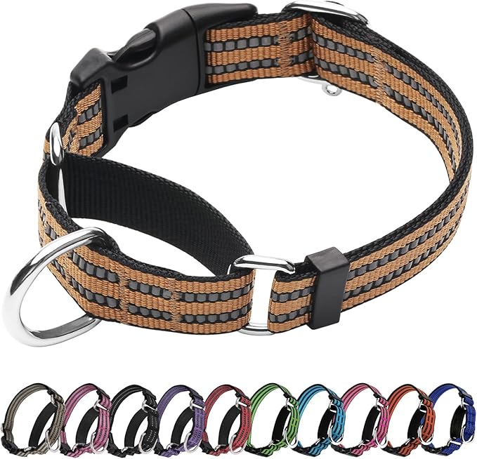 Martingale Dog Collar, Adjustable Nylon Reflective Collar with Quick Release Buckle (Turmeric Brown, Small)