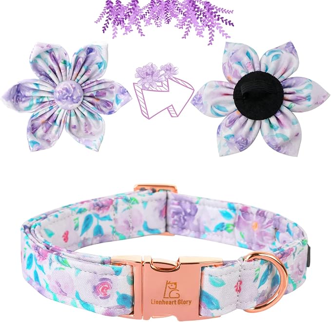 Lionheart Glory Dog Collar, Purple Dog Collar with Flower, Cute Floral Pattern Pet Collar Adjustable Dog Collar for Large Dogs