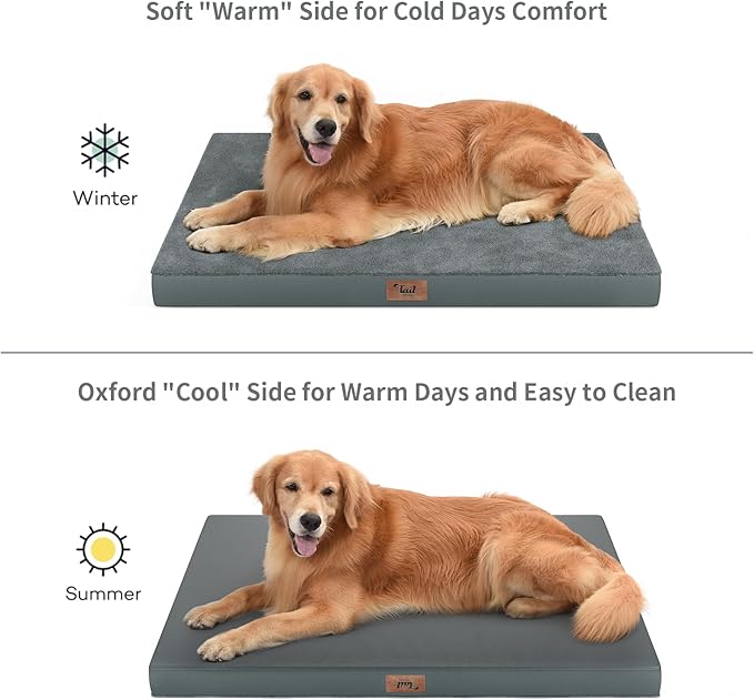 Orthopedic Dog Bed for Extra Large Dogs, XL Comfort Pet Mat for Large Sized Dog 44x32 Inch, Egg Crate Foam with Removable Washable Oxford Cover, Gray