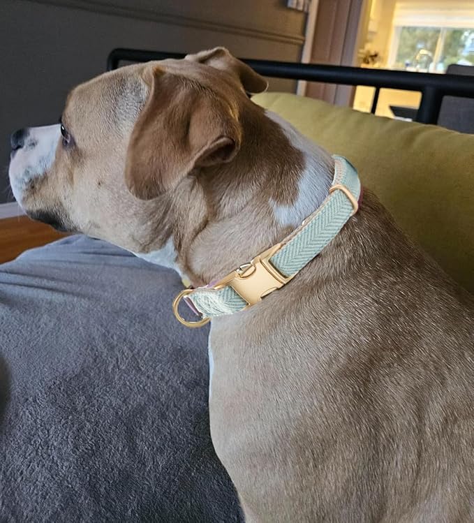 Soft Cotton Hemp Dog Collar with Metal Buckle Adjustable Twilled Dog Collars for Small Medium Large Dogs(Blue,Small)