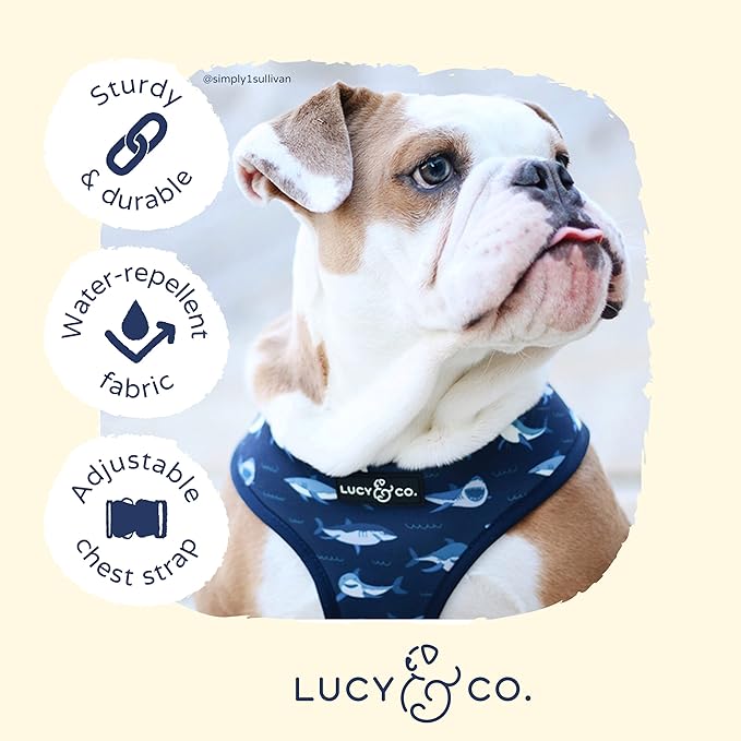 Reversible Dog Harness Walking Halter - Best Designer Pet Harnesses for Extra Small Medium Large XL Dogs Plus Pug Breeds - Padded Adjustable Puppy Vest for Easy Walking (Large, Shark Attack)