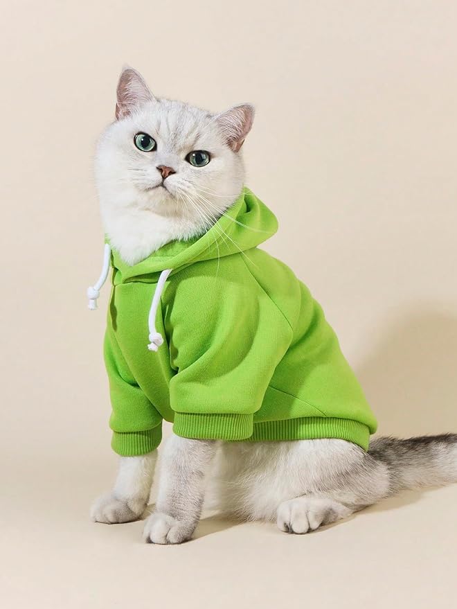 QWINEE Basic Dog Hoodie Sweatshirt Puppy Sweater Warm Cat Costumes Pet Clothes for Chihuahua Puppy Kitten Small Medium Dogs Green Small