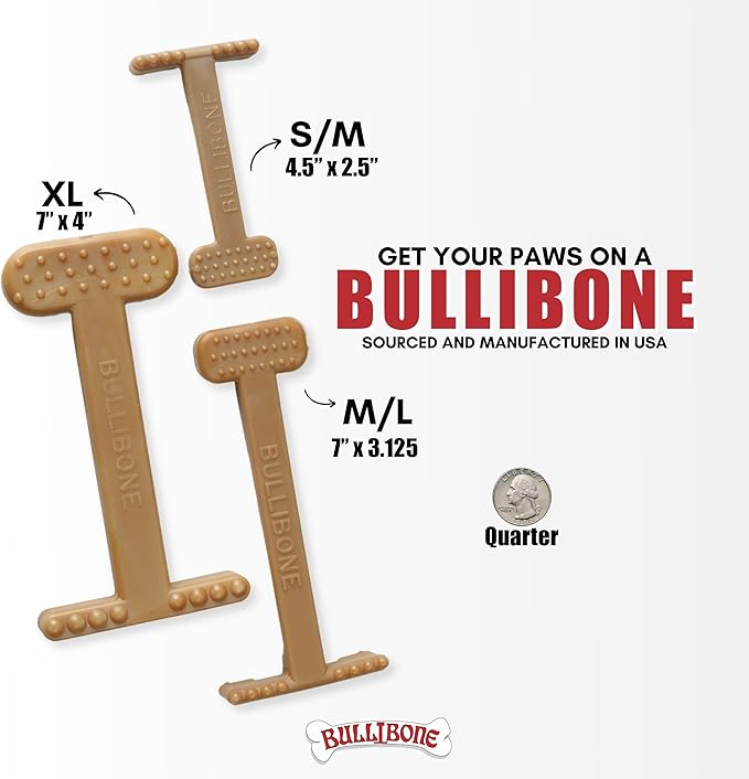 Bullibone Nylon Dog Chew Toy for Aggressive Chewers - Dental Hygiene Bone with Bacon Flavor, Durable Tough Chew Toys for Small Dogs, Indestructible Dog Bone - 2 Pack