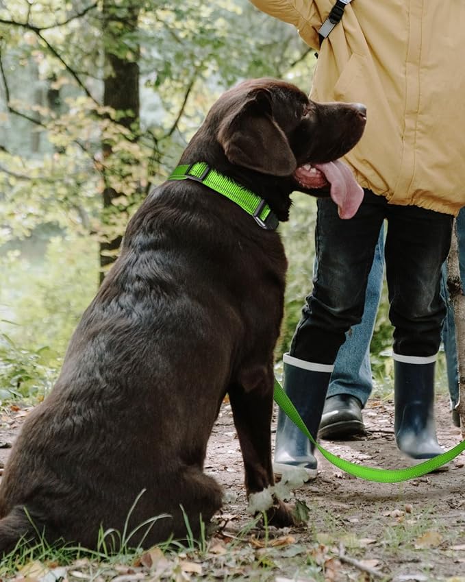 TagME Reflective Nylon Dog Collars, Adjustable Classic Pet Collar with Quick Release Buckle for Large Dogs, Green, 1.0" Width