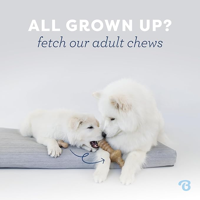 Benebone Puppy Fishbone Dog Chew Toys, Softer for Modest Chewers, Made in USA