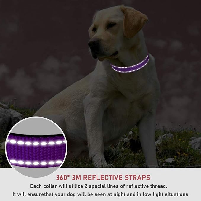 Reflective Dog Collar with Buckle Adjustable Safety Nylon Collars for Small Medium Large Dogs, Purple L