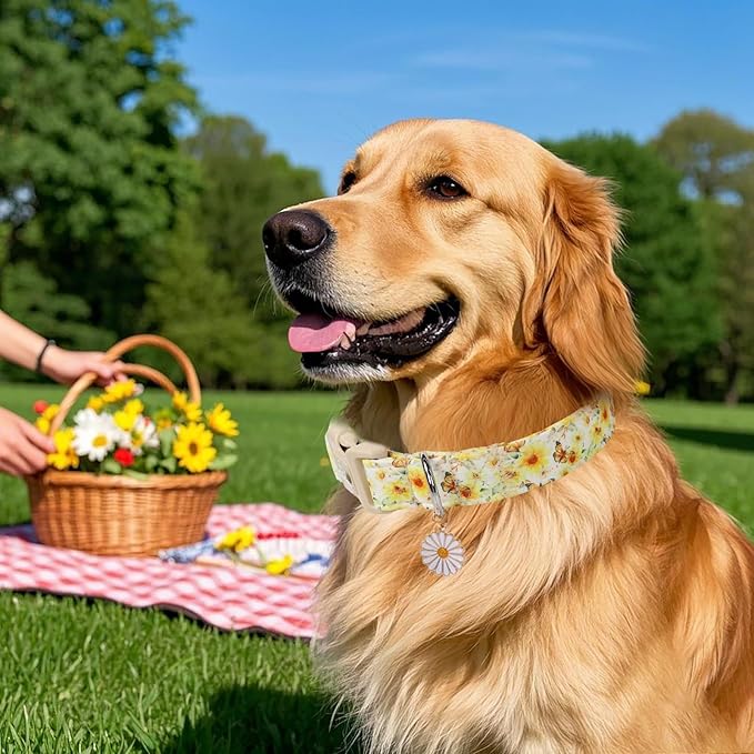 Sunflower Dog Collar, Adjustable Cute Dog Collars for Large Dogs, Lightweight Summer Fall Pet Collar with Quick-Release Buckle for Boy&Girl Dogs L