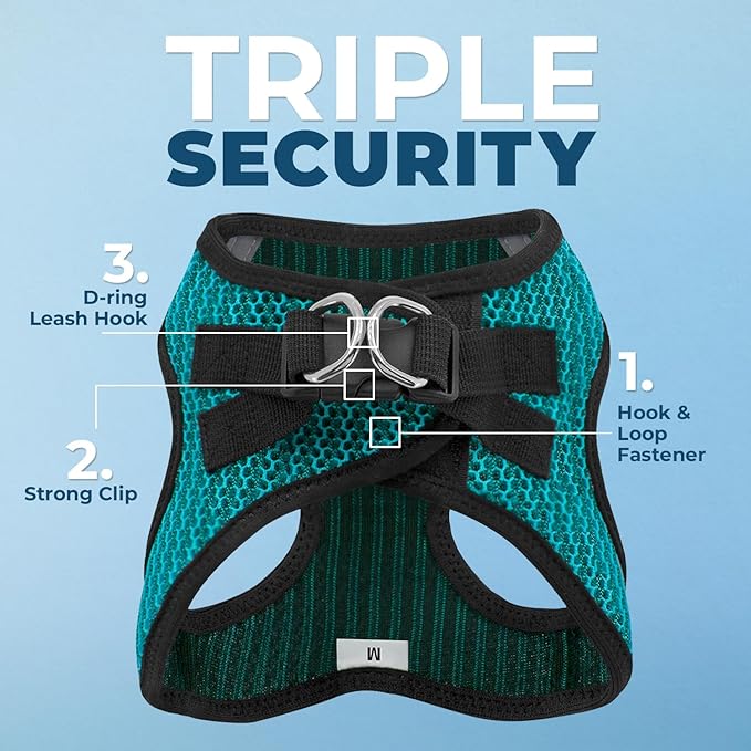 Best Pet Supplies - All Weather Mesh/Plush, Reflective, No Pull Harness for Small, Medium Dogs, Cats - Secure with Hook & Loop Fastener, Buckle, Double D-Rings - Turquoise 2-Tone, S
