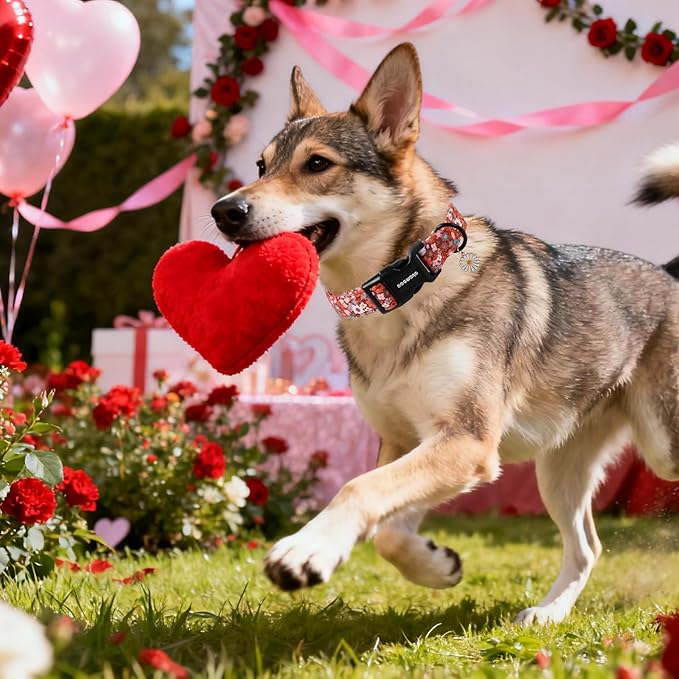 DOGWONG Red Flower Dog Collar, Cute Adjustable Floral Collar, Girl Female Dog Collar with Strong Plastic Buckle for Small Medium Large Dogs,XS