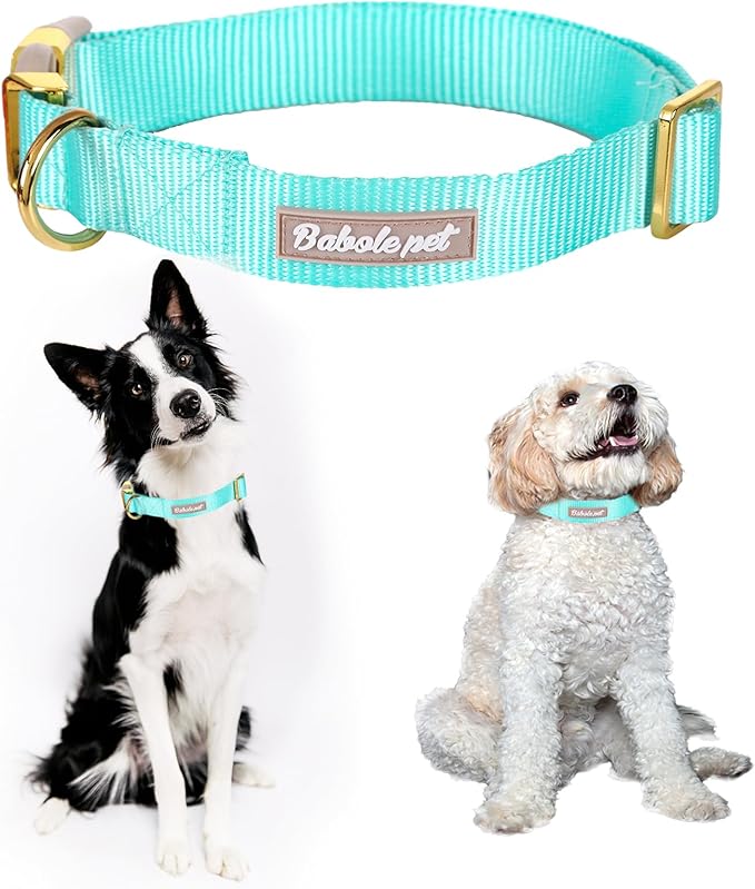 Nylon Dog Collar - Adjustable Lake Blue Soft Webbing Dog Collars for Small Medium Large Dogs Boy Girl Puppy Collar with Safety Metal Buckle XL