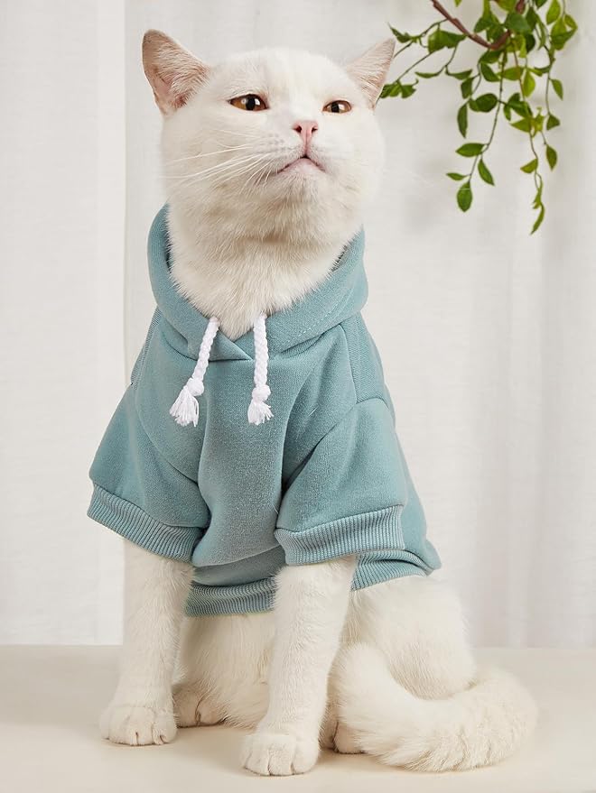 QWINEE Basic Dog Hoodie Sweatshirt Puppy Sweater Warm Cat Costumes Pet Clothes for Chihuahua Puppy Kitten Small Medium Dogs Pink and Green X-Large