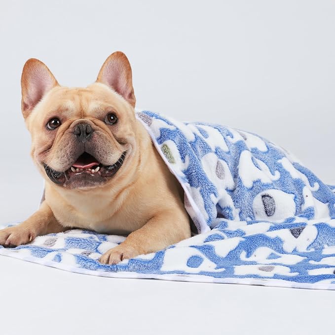 1 Pack 3 Blankets Super Soft Fluffy Premium Cute Elephant Pattern Pet Blanket Flannel Throw for Dog Puppy Cat Blue/Pink/Yellow Large(41x31 inch)