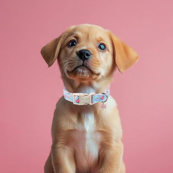 Valentines Dog Collar for Small Dogs - Valentine Candy Hearts Dog Collars, Love Boy Girl Dogs Collars, Lightweight Adjustable Cute Blue Puppy Collar with Quick-Release Buckle XS