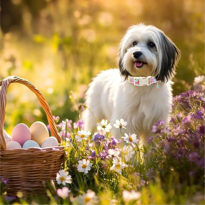 Easter Dog Collar for Small Dogs - Colorful Bunny Print Easter Collar for Male Female Dogs, Lightweight Adjustable Spring Holiaday Dog Collars with Quick Release Buckle S