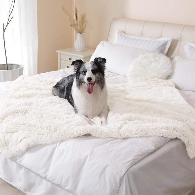 gogobunny Waterproof Dog Blanket for Couch & Furniture Protection - Super Soft Reversible Throw for Large Dogs & Cats, Calming Washable Fur & Sherpa Pet Blanket (33x77 Inch, Cream)