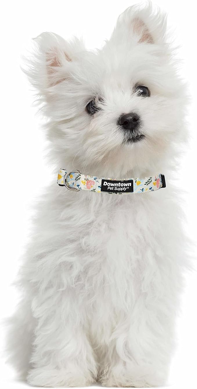 Downtown Pet Supply - Best & Fancy Dog Collar - Lightweight Adjustable with Quick Buckle & D-Ring - Hand Wash Safe - Floral - Large
