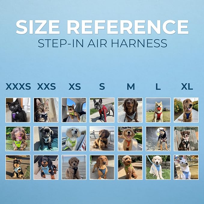 Best Pet Supplies Voyager Step-in Air Harness - All Weather Mesh, Reflective, No Pull Harness for Dogs, Cats - Secure with Hook & Loop Fastener, Buckle, Double D-Rings - Turquoise, XS