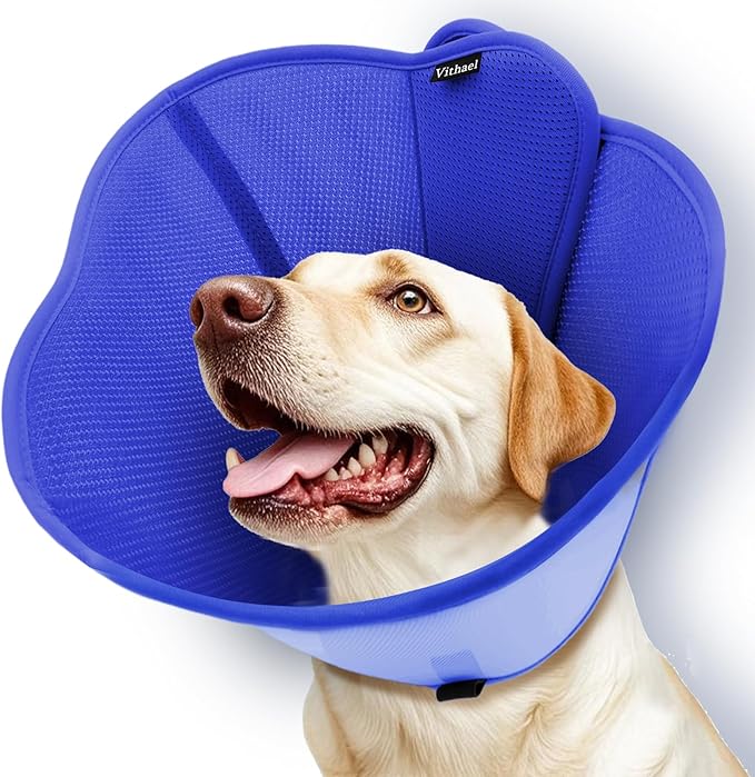Upgraded Dog Cone Collar for Large Medium Dogs, Soft Dog Cone with Double-Layer Design, Adjustable Pet Recovery Collar for Dogs After Surgery, Elizabethan Collar (S, Blue)