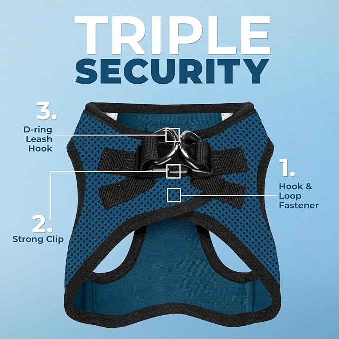 Best Pet Supplies Voyager Step-in Air All Weather Mesh Harness and Reflective Dog 5 ft Leash Combo with Neoprene Handle, for Small, Medium and Large Breed Puppies - Blue/Black Trim, Medium