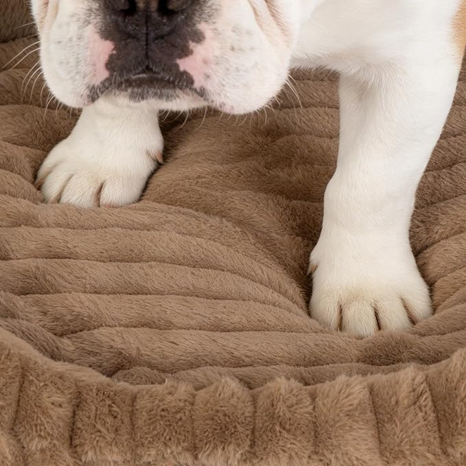 Dog Bed for Extra Large Dogs, Cute XL Dog Bed with Removable Washable Cover & Anti-Slip Bottom, Soft Calming Pet Sofa Bed with Handle for Indoor Pets, 43x31x5inches, Brown