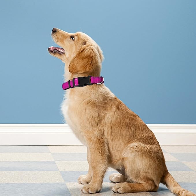Reflective Dog Collar, Adjustable Soft Neoprene Padded Nylon Pet Collars with Buckle for Medium Dogs, Rose Red,M