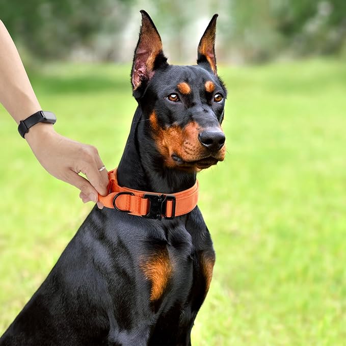 Tactical Dog Collar, Adjustable Military Training Nylon Dog Collar with Control Handle and Heavy Quick-Release Metal Buckle for Small Medium Large Dogs, Orange S