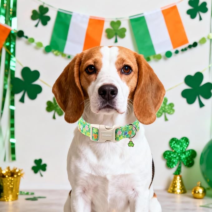DOGWONG St. Patrick Dog Collar, Comfortable Adjustable Green Clover Pattern Dog Collar for Large Male Female Dogs,XL
