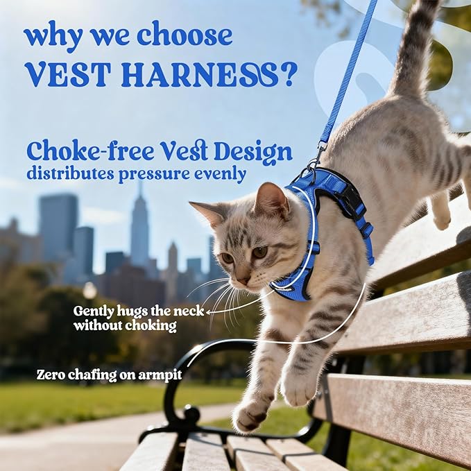 rabbitgoo Cat Harness and Leash for Walking, Escape Proof Soft Adjustable Vest Harnesses for Cats, Easy Control Breathable Reflective Strips Jacket, Navy Blue, XXS