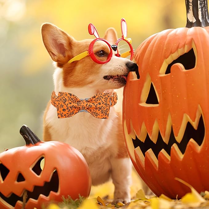 Halloween Dog Collar, Pet Collar Bow Pumpkin Collars Girl Boy Holiday Pet Collar Gift Bow Cute Soft Puppy Collars for Medium Dogs
